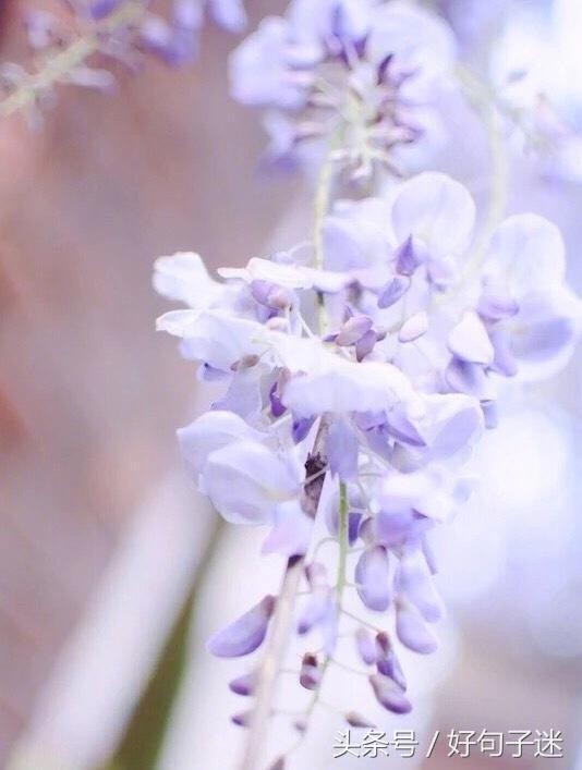 最走心的微信朋友圈爱情语录短句，网络非常流行！