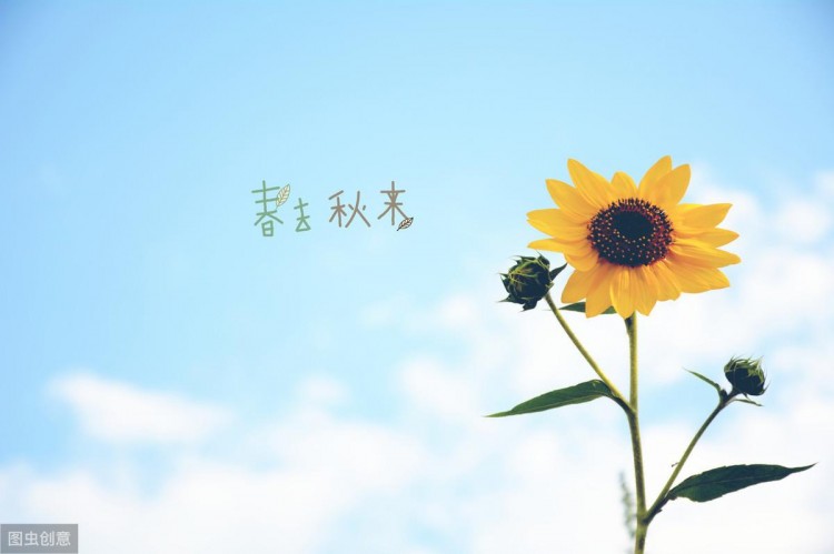 20个悲伤的爱情句子：一删微信，就是永别，愿你天黑有灯，下雨有伞