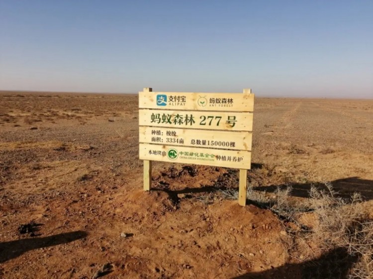 八年一梦支付宝还是放不下社交