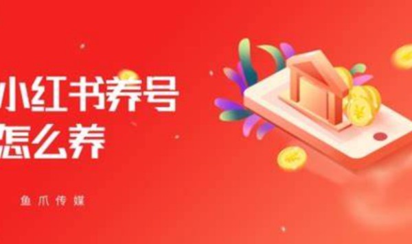 小红书养号技巧?